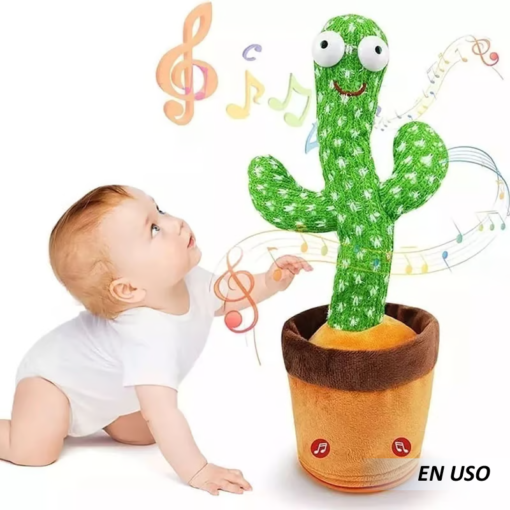 Cactus Bailarín - Imagen 4