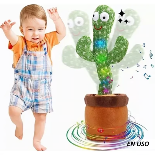 Cactus Bailarín - Imagen 3