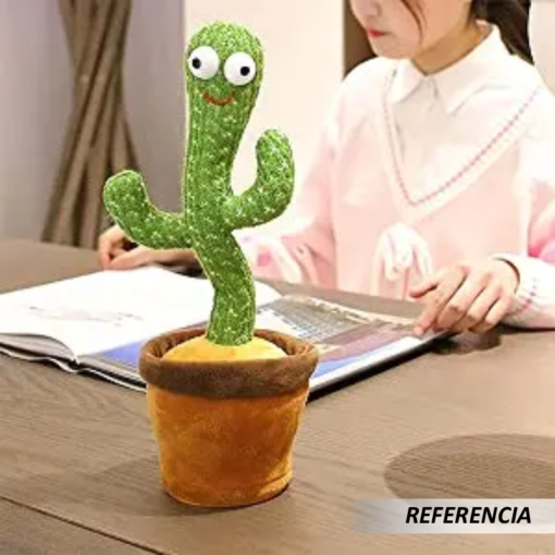 Cactus Bailarín - Imagen 8