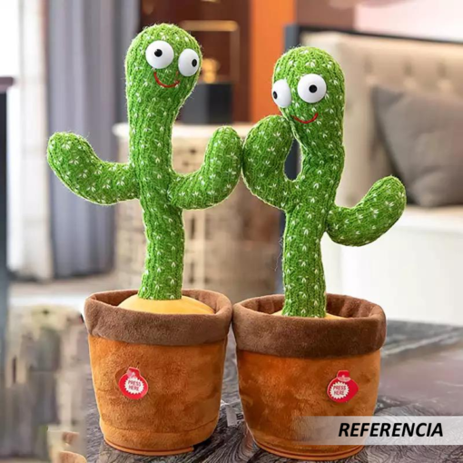 Cactus Bailarín - Imagen 9