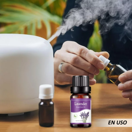 Juego de aceites esenciales aromáticos para el hogar - Imagen 4